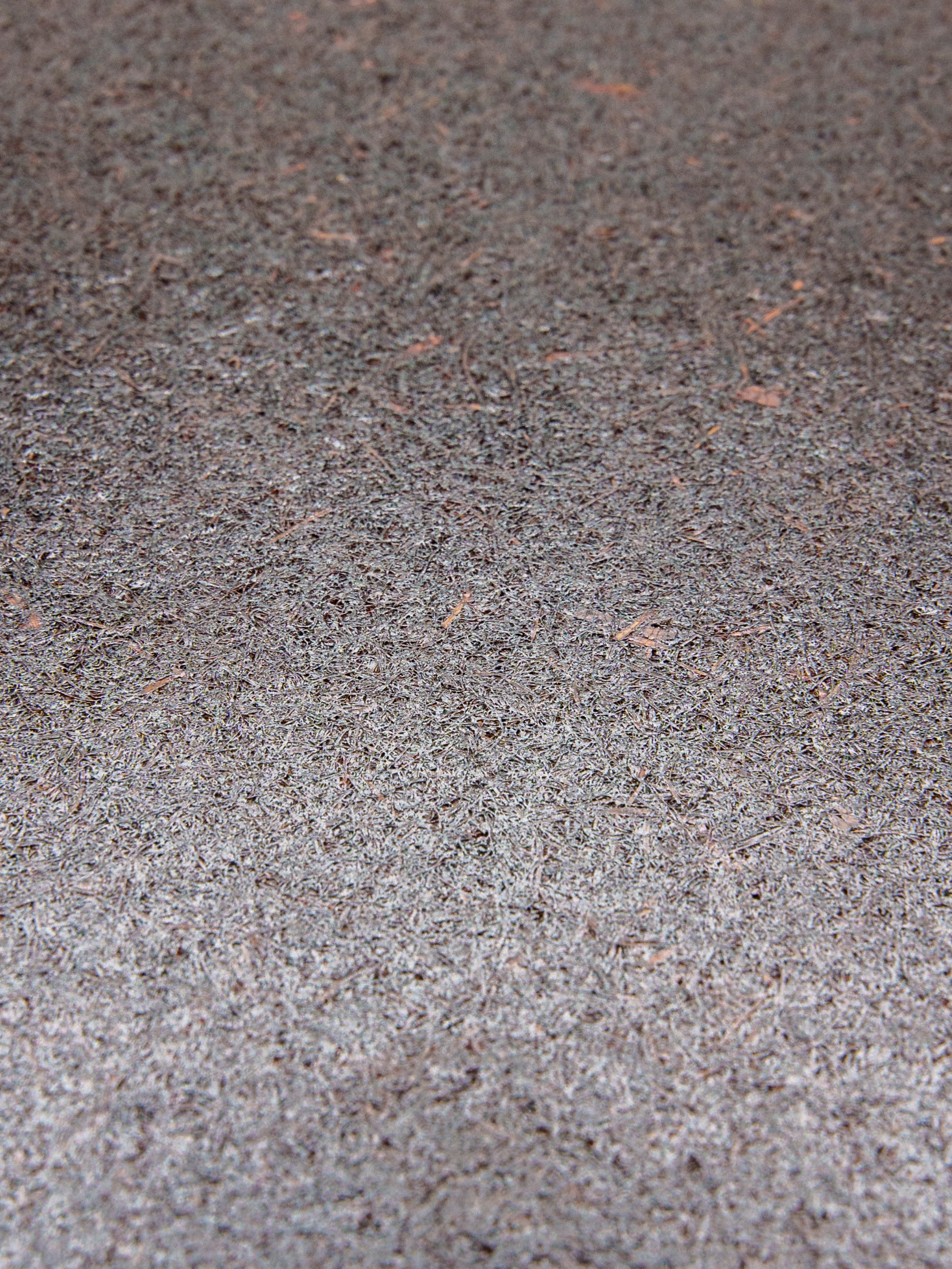 BastBoard™ Sample